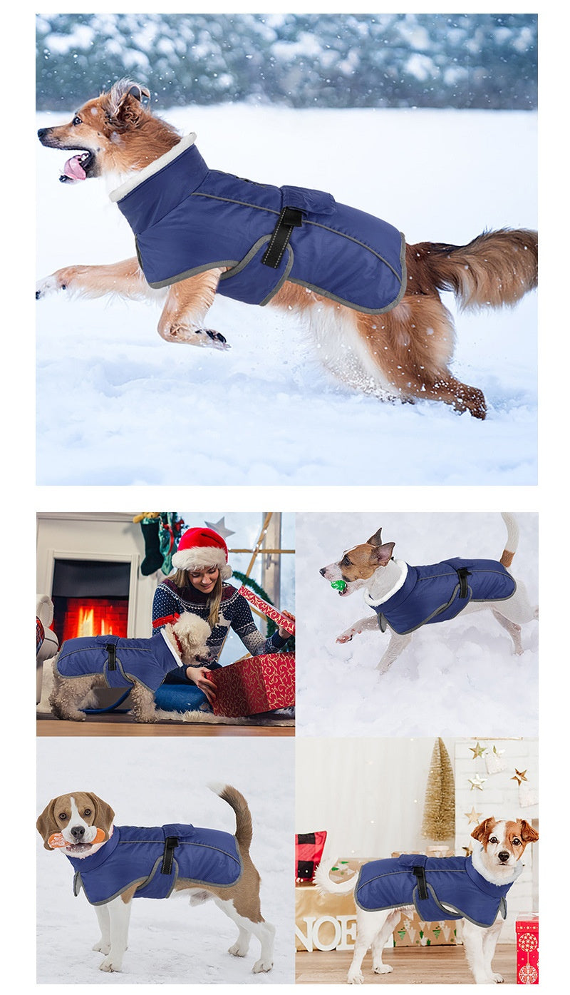 Animaux de compagnie Coton rembourré Coat Hiver Grand chien Golden Retriever Jarre Aero Bull Corgi Puppy Cloth