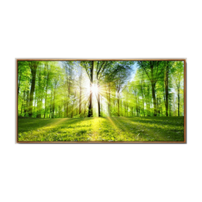 Forêt naturelle mur d'art photos toile peinture