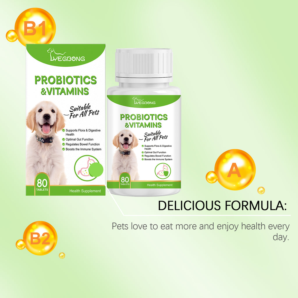 Probiotiques pour animaux de compagnie et comprimés de vitamine pour chiens et chats