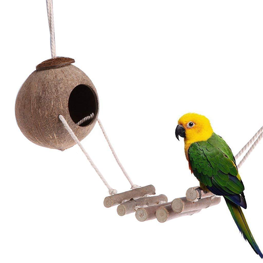 Jouets de parakeet 9 pièces & Jouets de Budgie