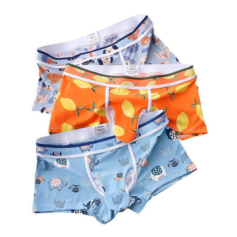 Sous-vêtements pour hommes sexy