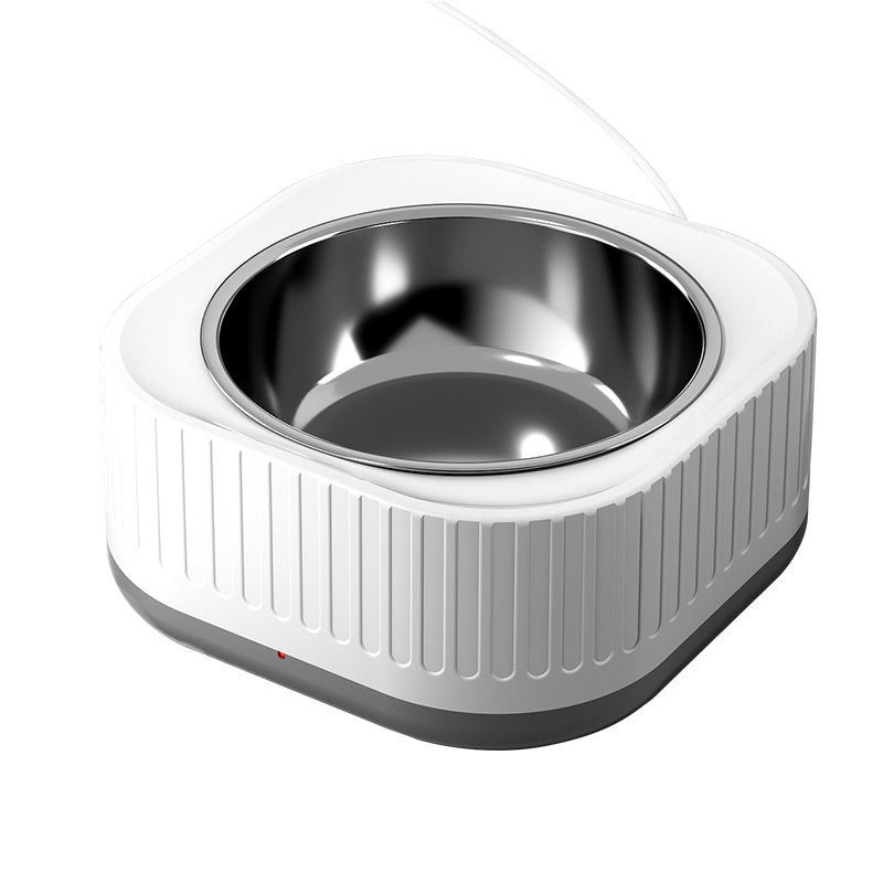 Simple bol d'eau en acier inoxydable à usage domestique avec température constante pour les chats