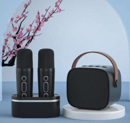 Ensemble Microphone de chant familial