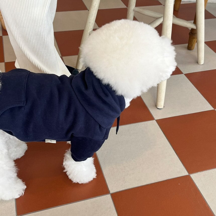 TeddyPoméranie Petits chiots Chandails à capuche Vêtements de chat