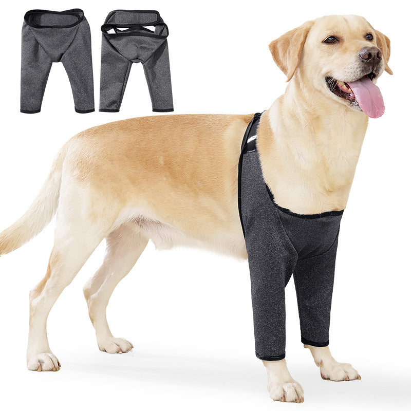 Manches des jambes de chien