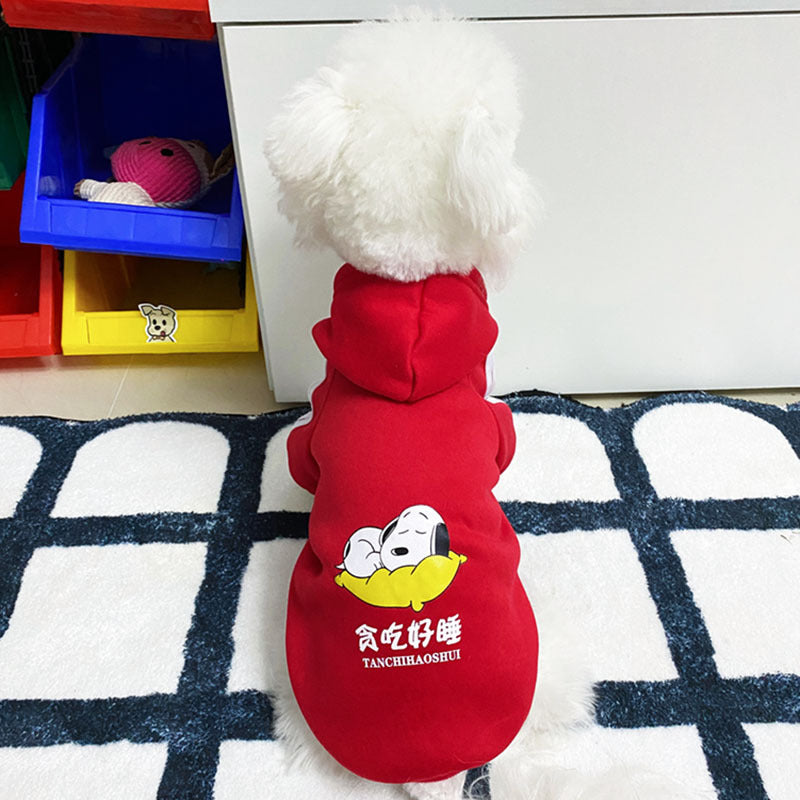 En automne et en hiver, les vêtements de chien sont mignons