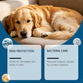 Spray antibactérien pour chiens