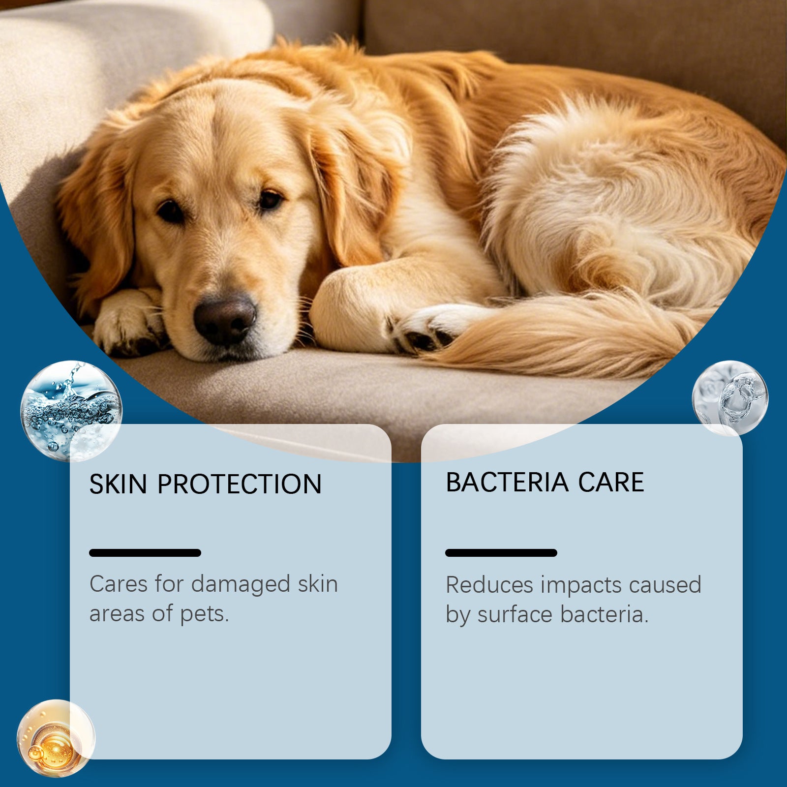 Spray antibactérien pour chiens