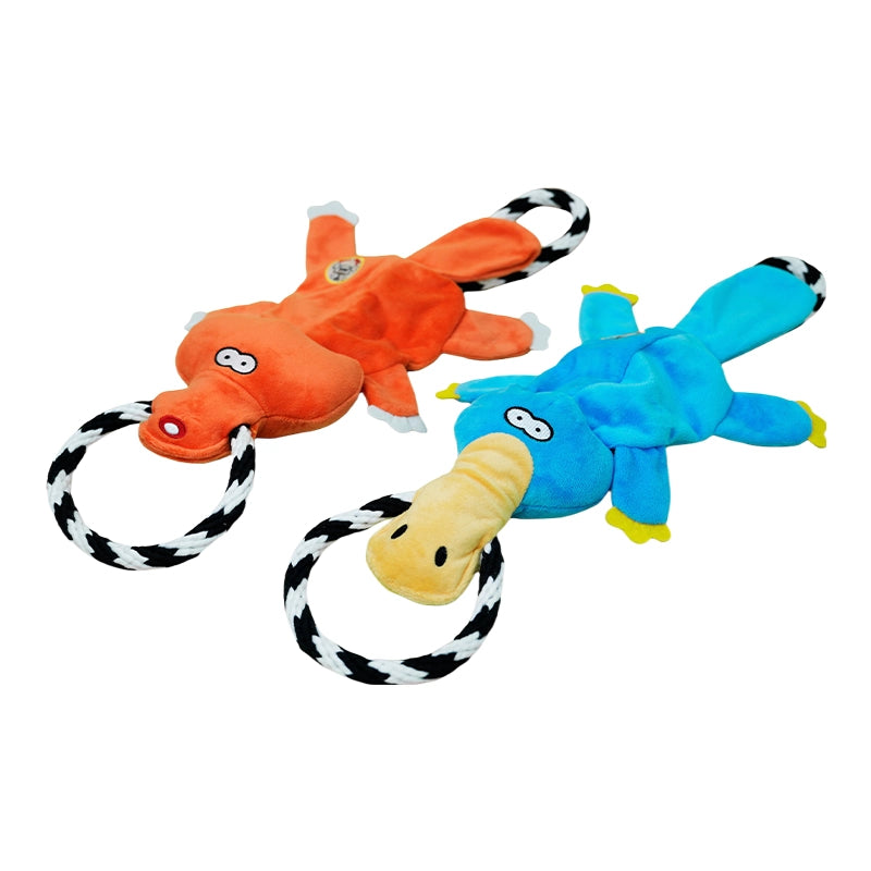 Jouets de son Molaire de chien moyen grand Bichon