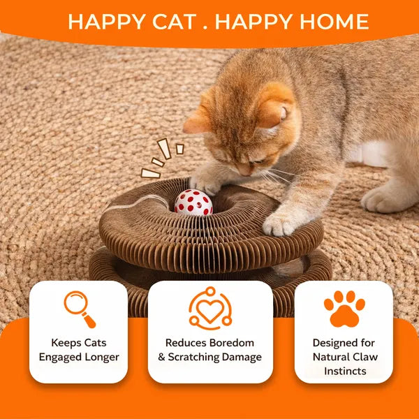 2PCS Kitty Curls Cat Toy - Accordéon pliable Cat Scratcher WithBall - Magic Organ Cat Scr