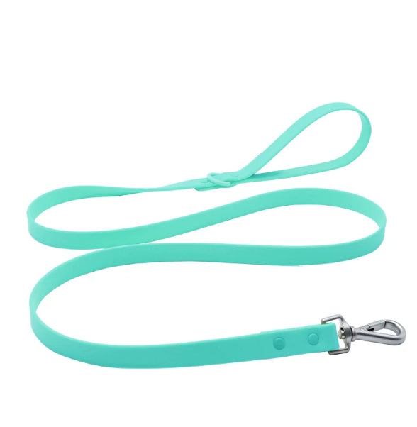 Animaux de compagnie Macaron Dog Leash