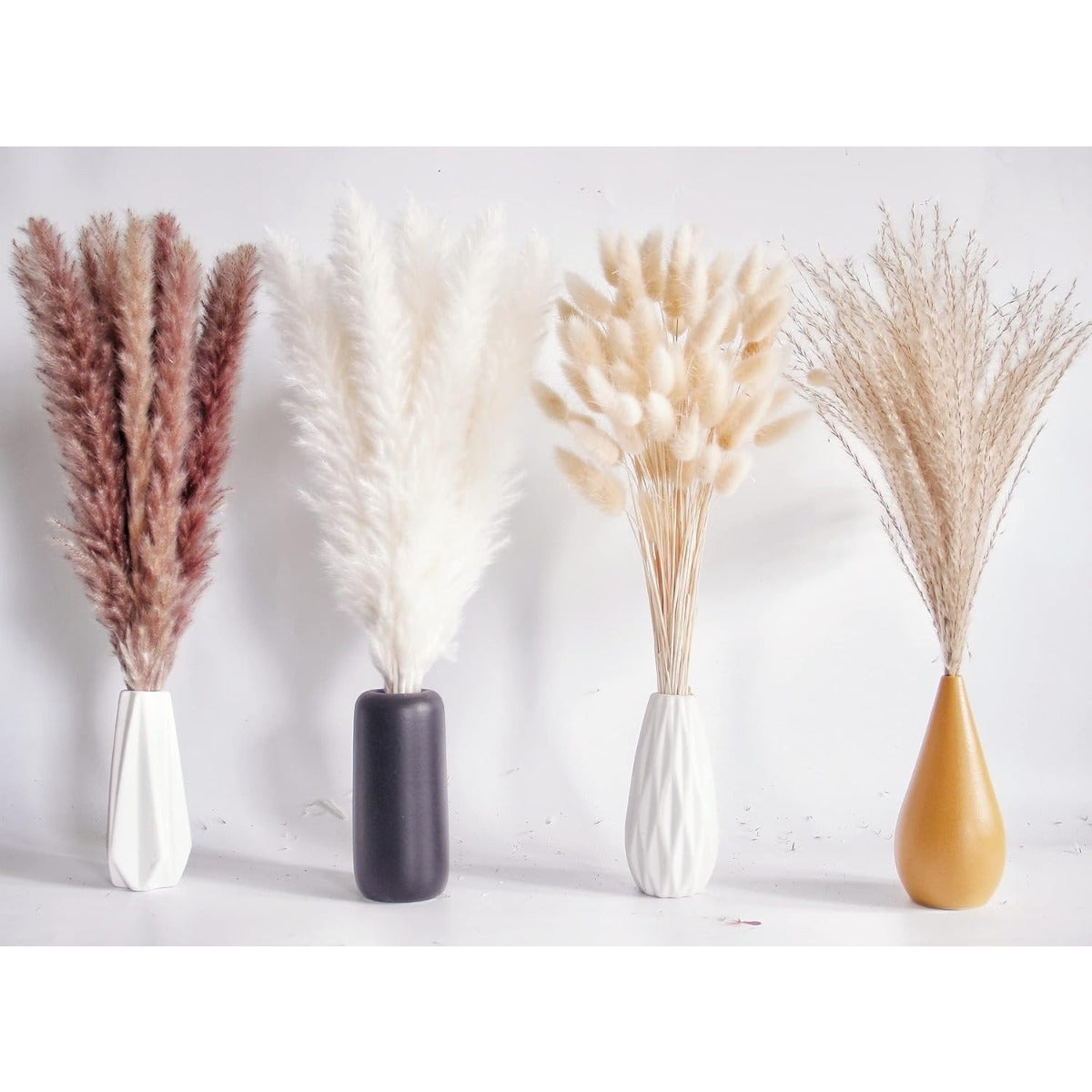 Ensemble de 125 tiges d'herbes de pampas séchées