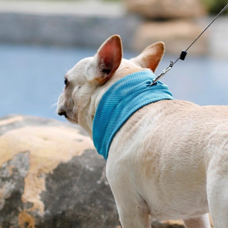 Droit Lutter contre les fournitures de collier Serviette Triangle Cooling Summer Heatstroke Cat British Cattle P