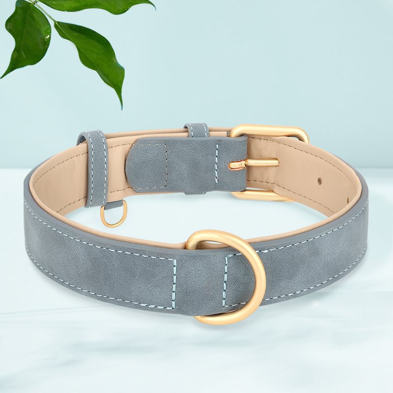 Collier de chien en cuir double couche créatif et polyvalent