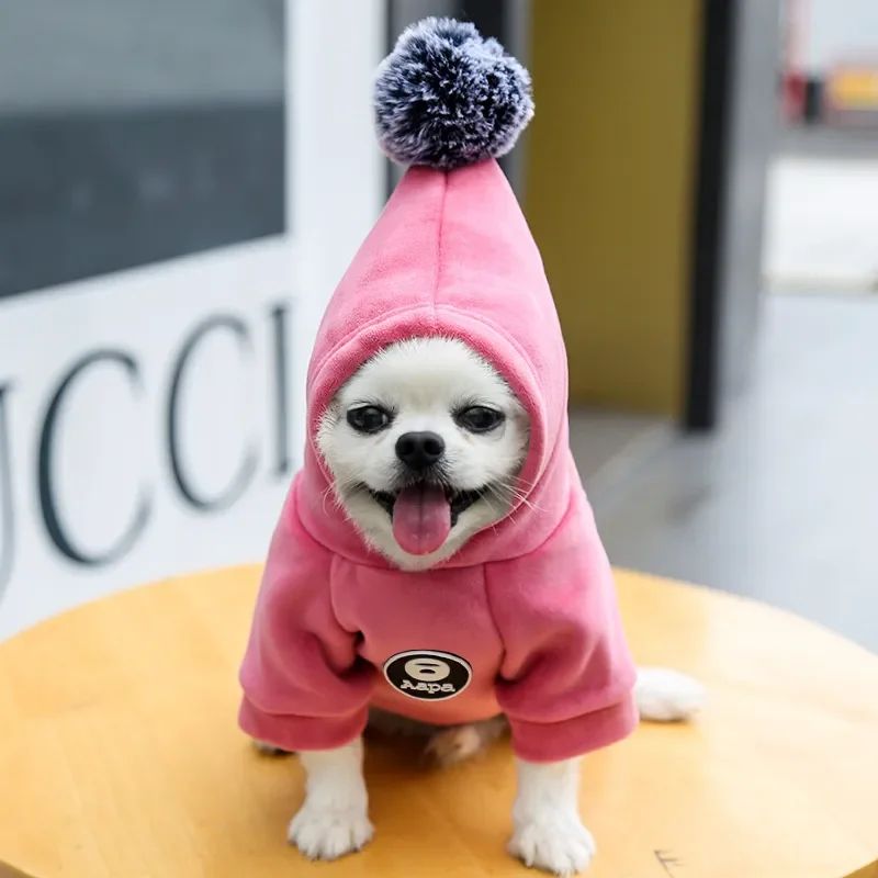 Animaux de compagnie Cat Vêtements Fleece Hairball à capuche Veste Hiver Kitty Petits chiens moyens Chats