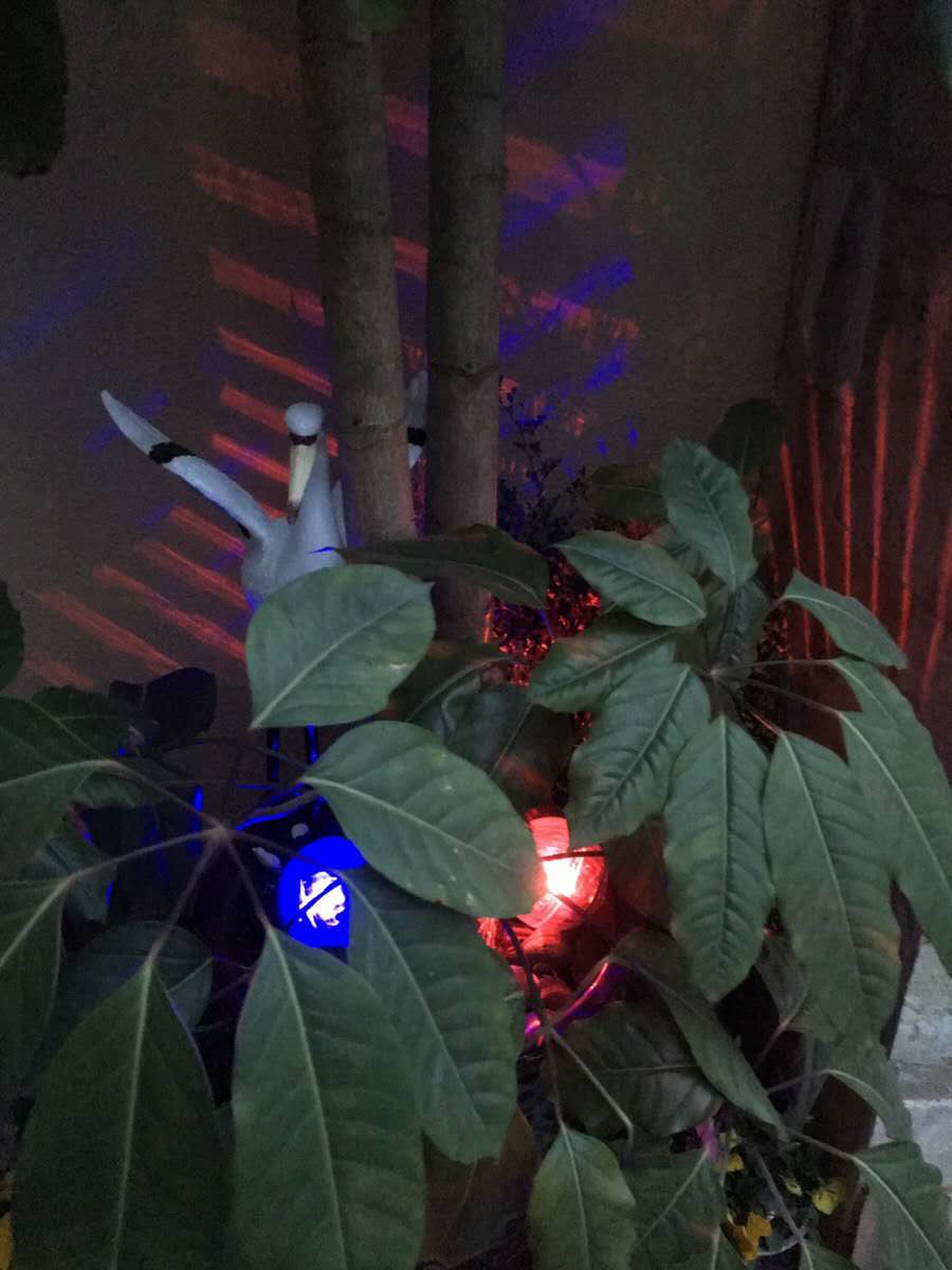 Outdoor Solar Water Float Lamp Pond Floating Lamp Magic Ball Lamp Courtyard Lam décoratif