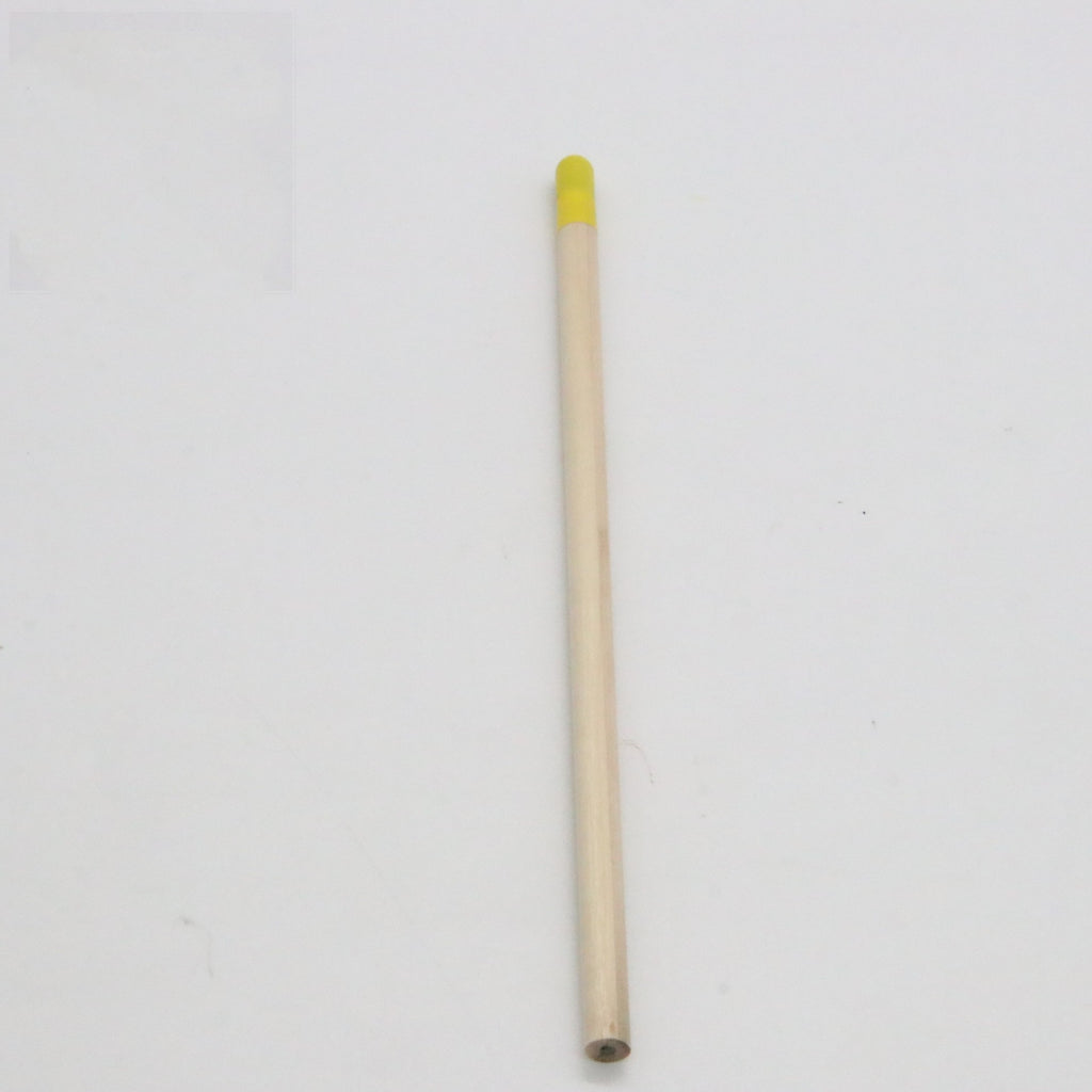 Graines Pencil Germinable Plant Pencil HB Recharge Capsules dégradables