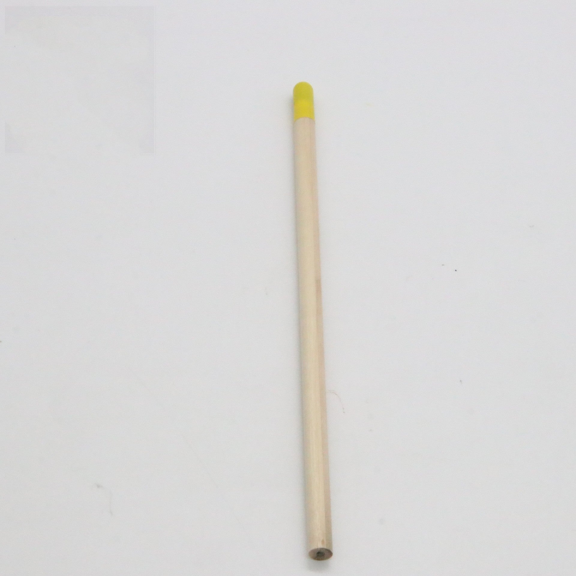 Graines Pencil Germinable Plant Pencil HB Recharge Capsules dégradables
