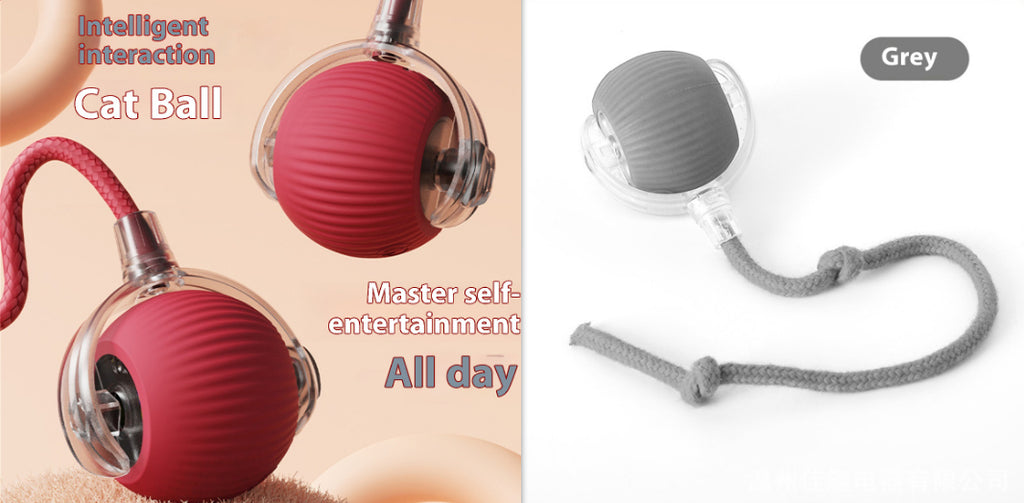 Jouet de chat électrique Automatique boule de chat auto-entertainment Rolling Ball
