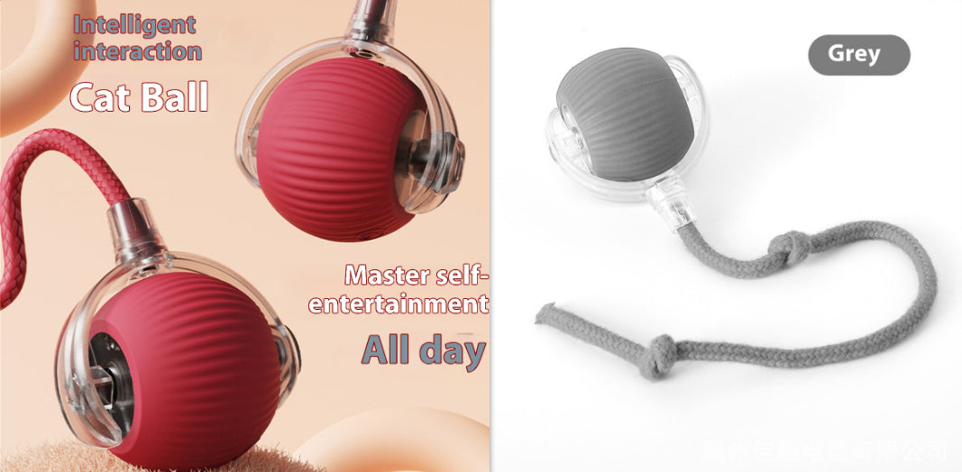 Jouet de chat électrique Automatique boule de chat auto-entertainment Rolling Ball