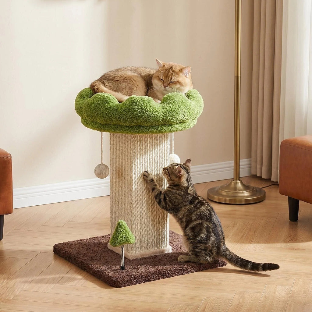 Flower Cat Scratching Post pour chat intérieur Scratcher avec perche confortable et amovible Pe