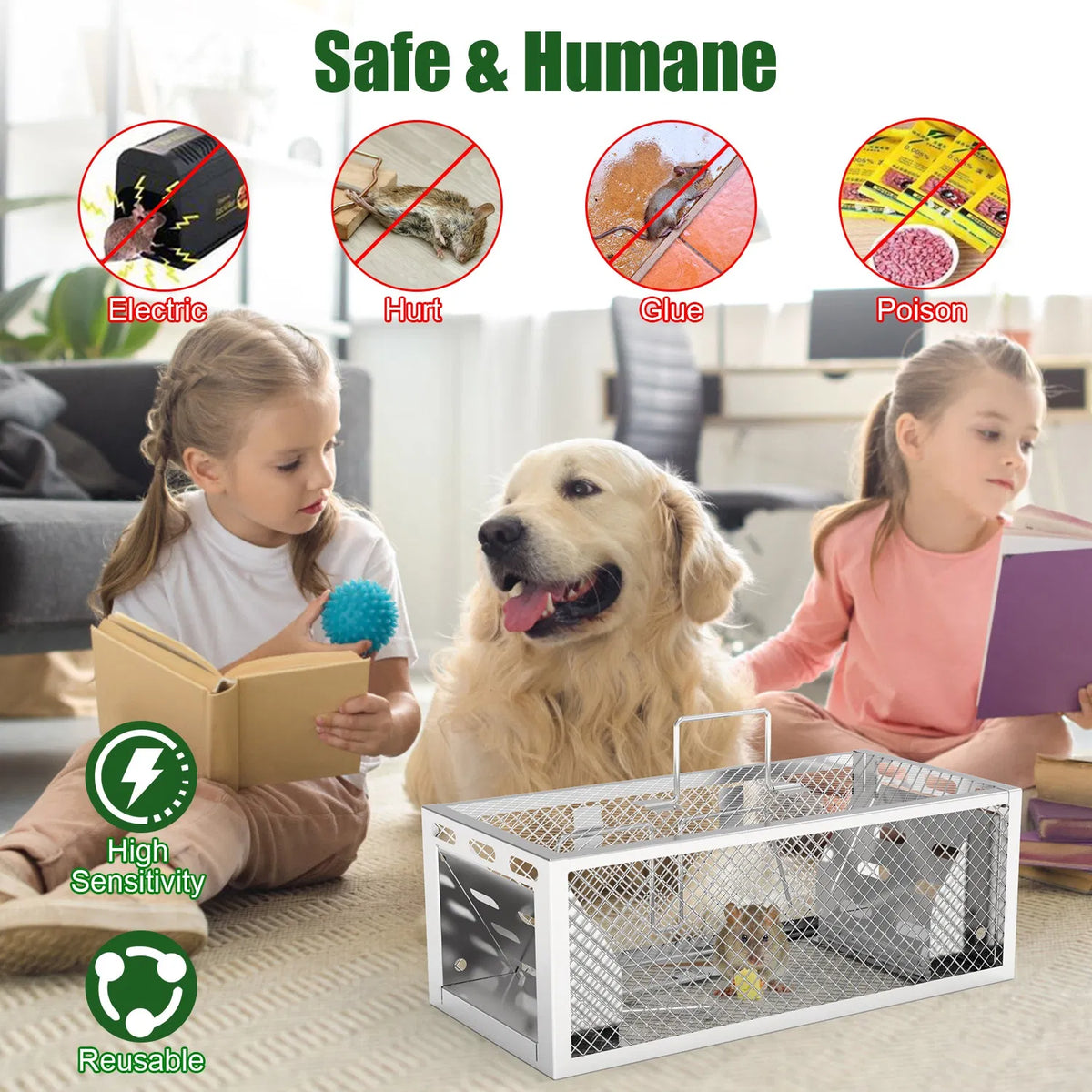 2Pcs Humane Mouse Trap Cage - Dual-Door Design pour la capture continue