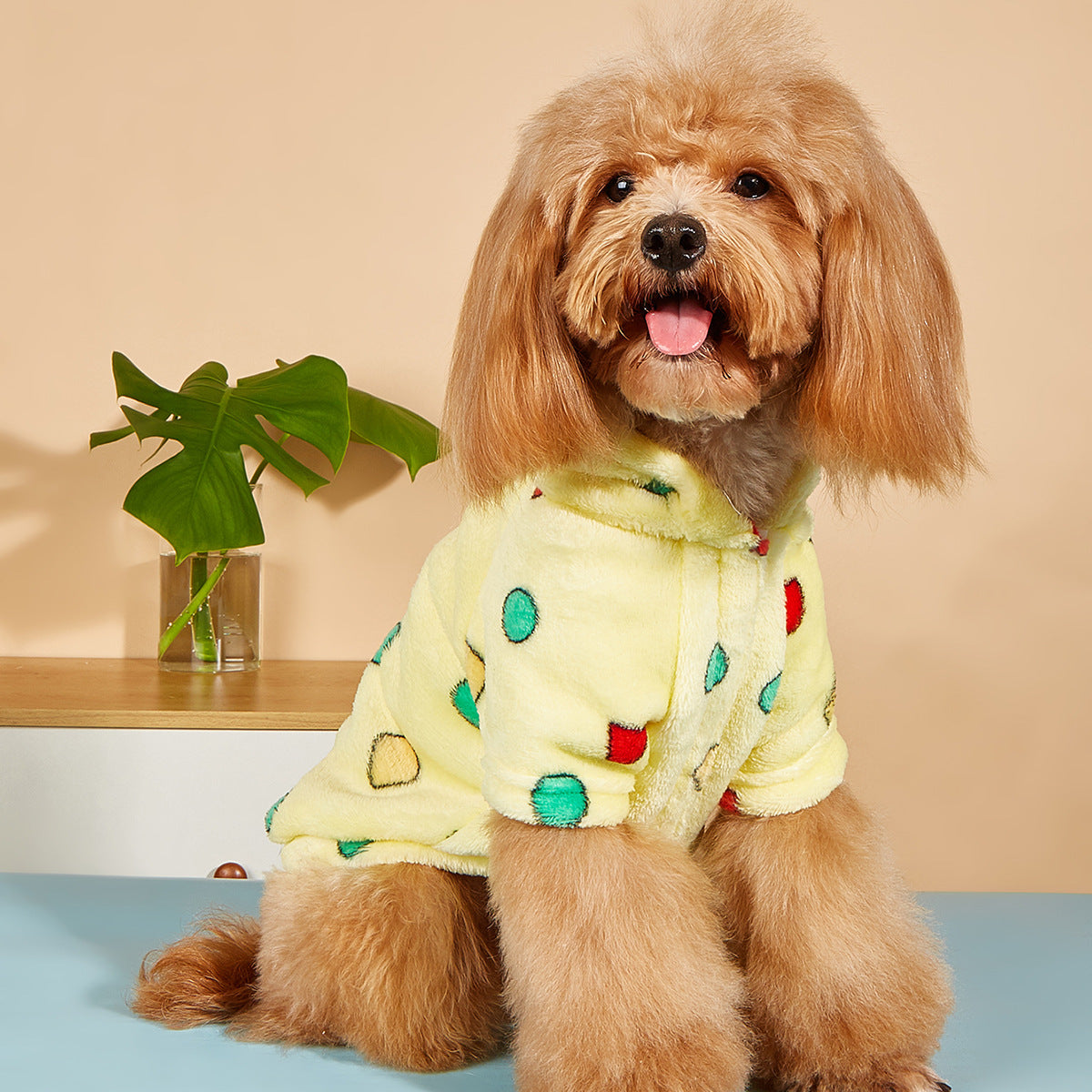Manteau en peluche chaude pour petits chiens