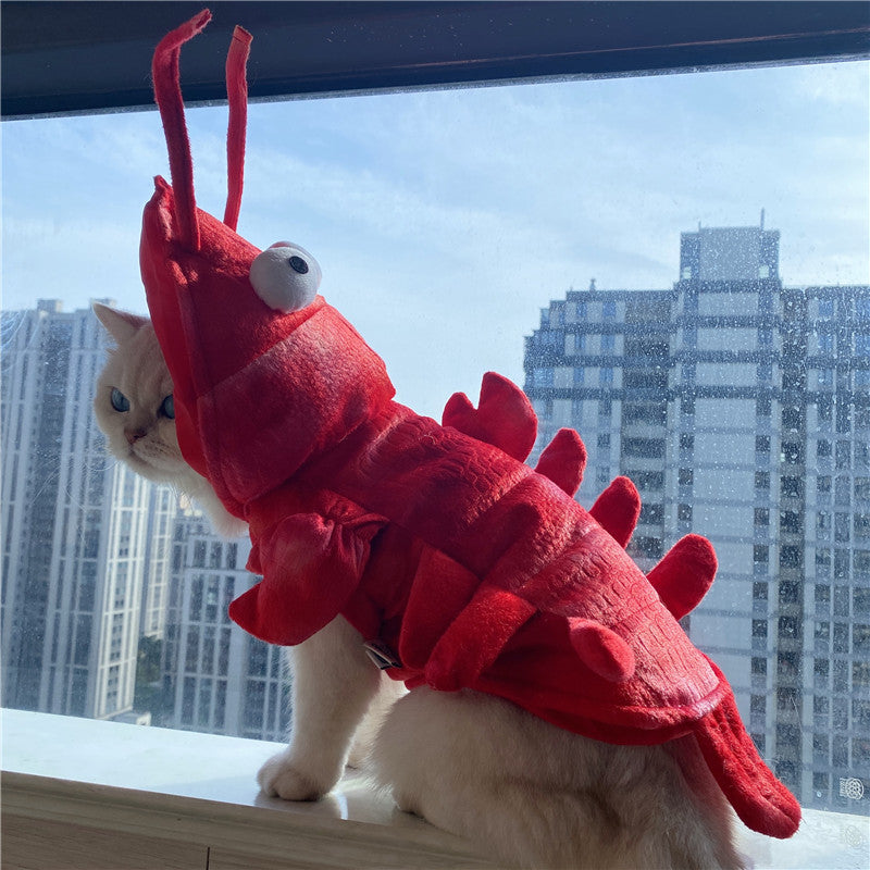 Halloween Cat Lobster Vêtements Année Noël