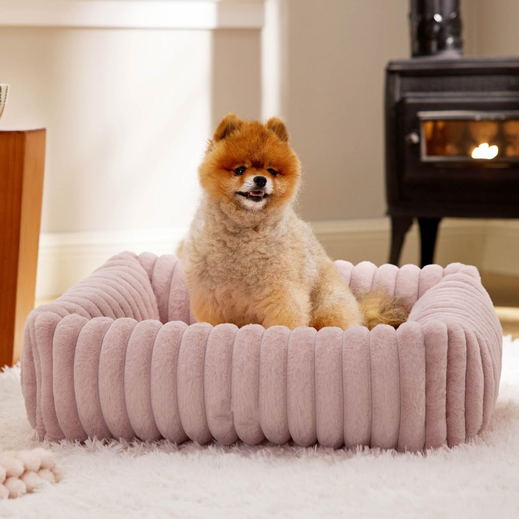 Lits pour chiens pour petits chiens moyens