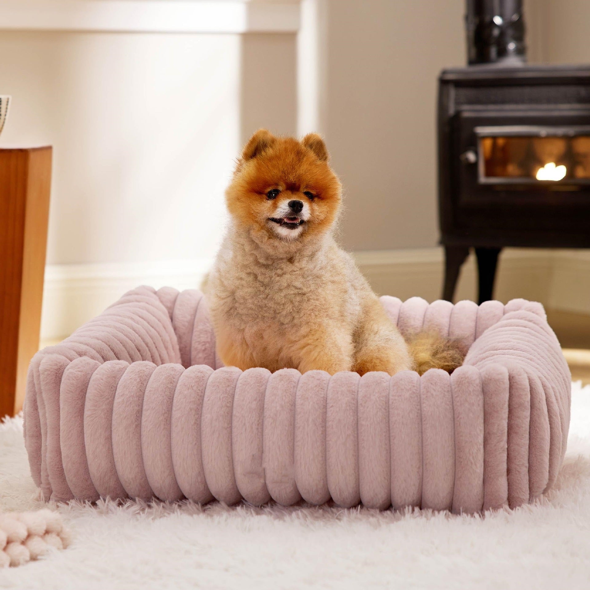 Lits pour chiens pour petits chiens moyens