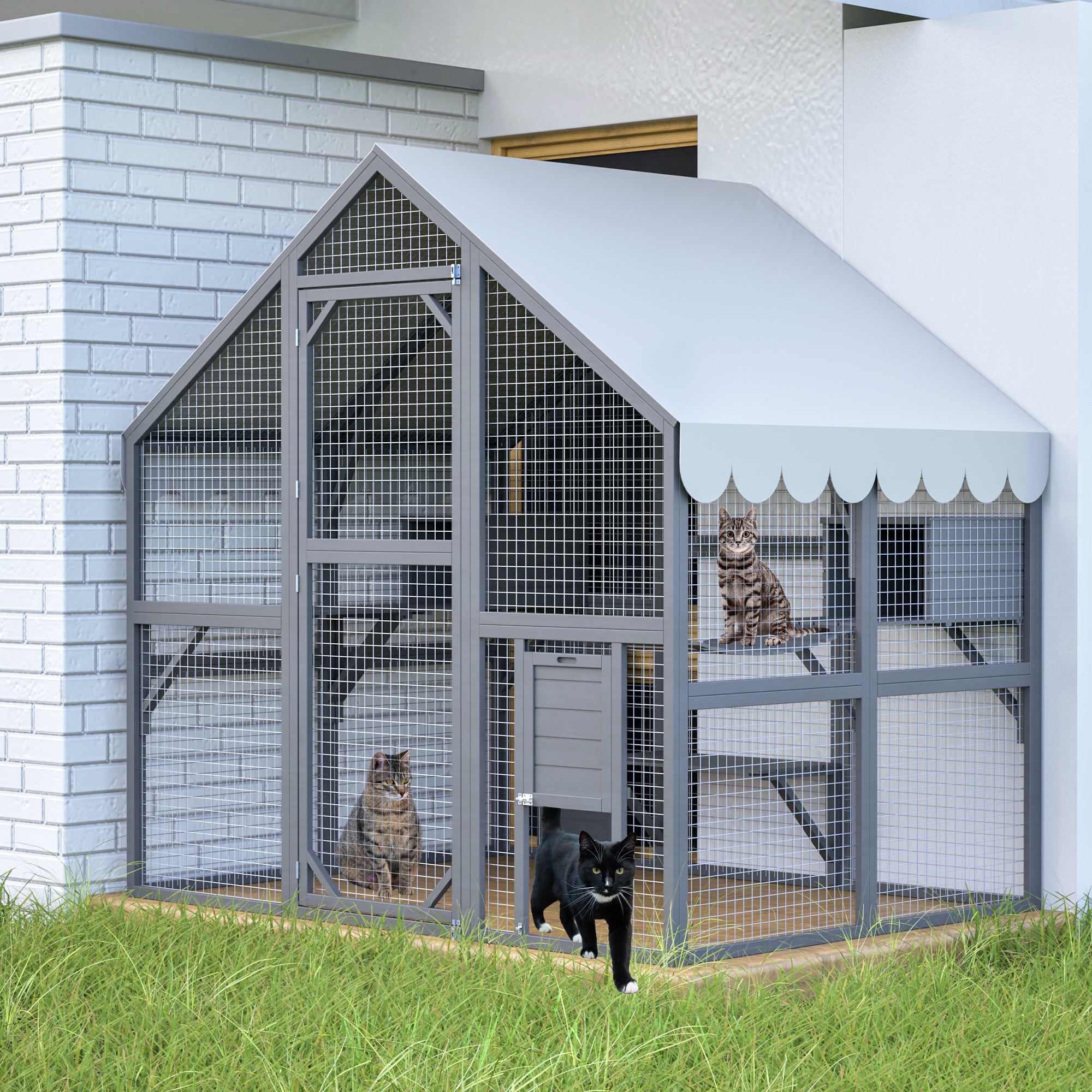 Grande maison de chat extérieur