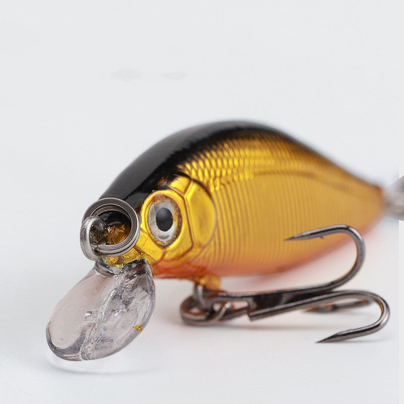 Pêche en eau douce Cockroach Bass Blackfish Bait