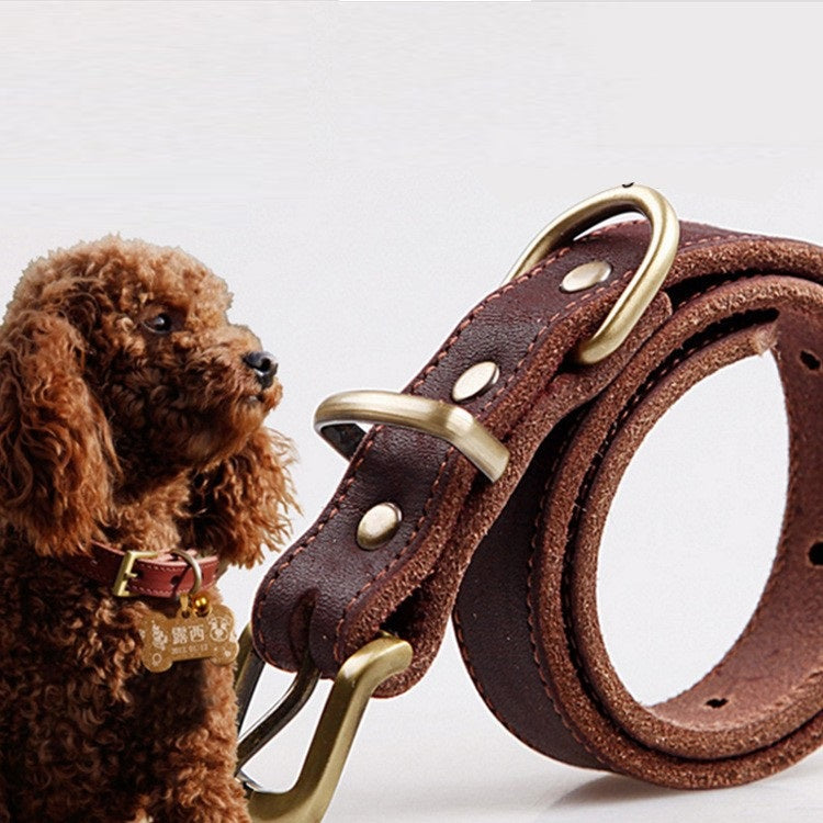 Petit et moyen collier de chien en cuir de vache
