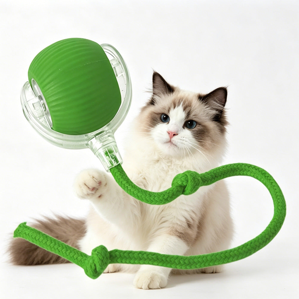 Jouet électrique de boule de chat de chien