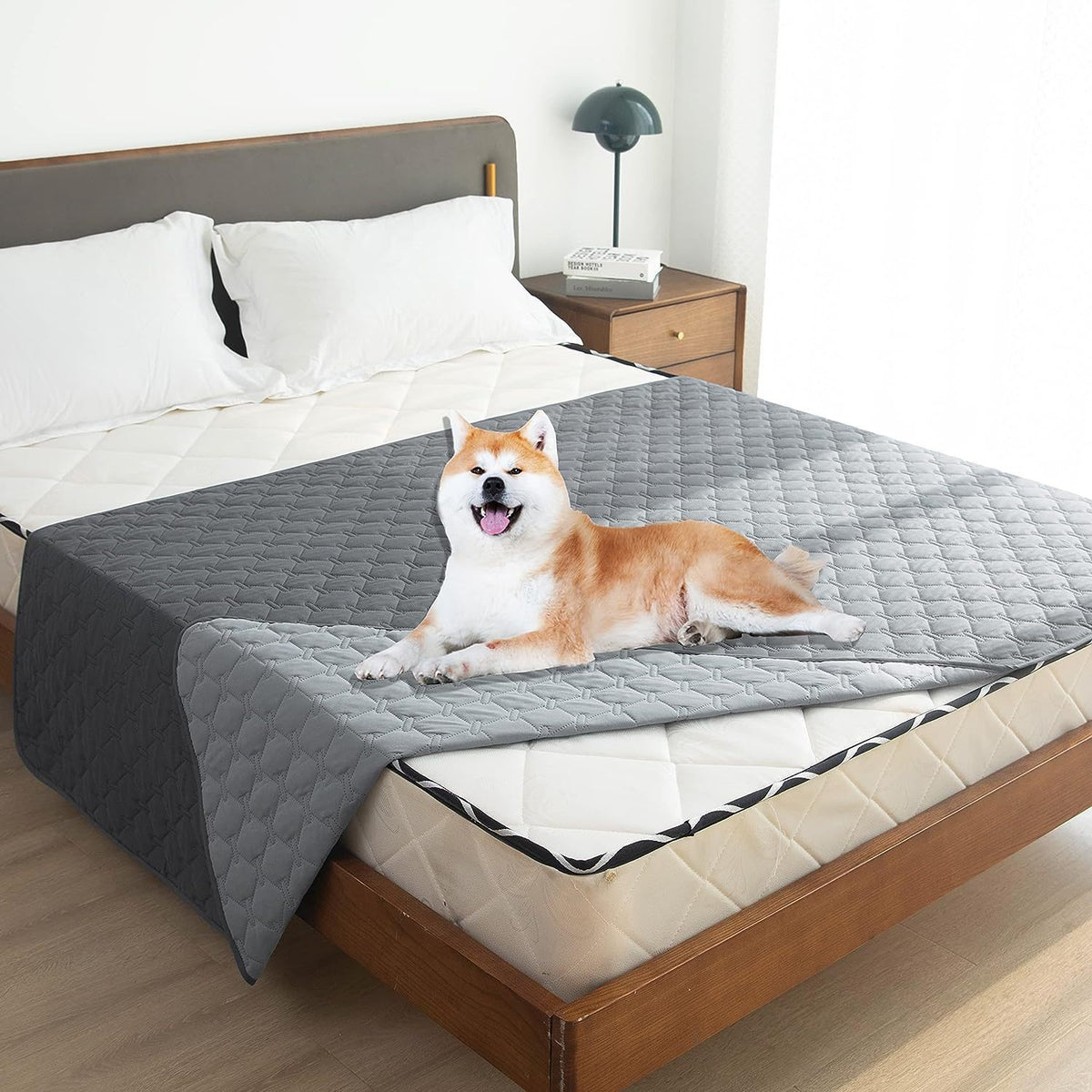 Double face imperméable Pet Canapé Coussin Matelas résistant aux rayures et sans cheveux