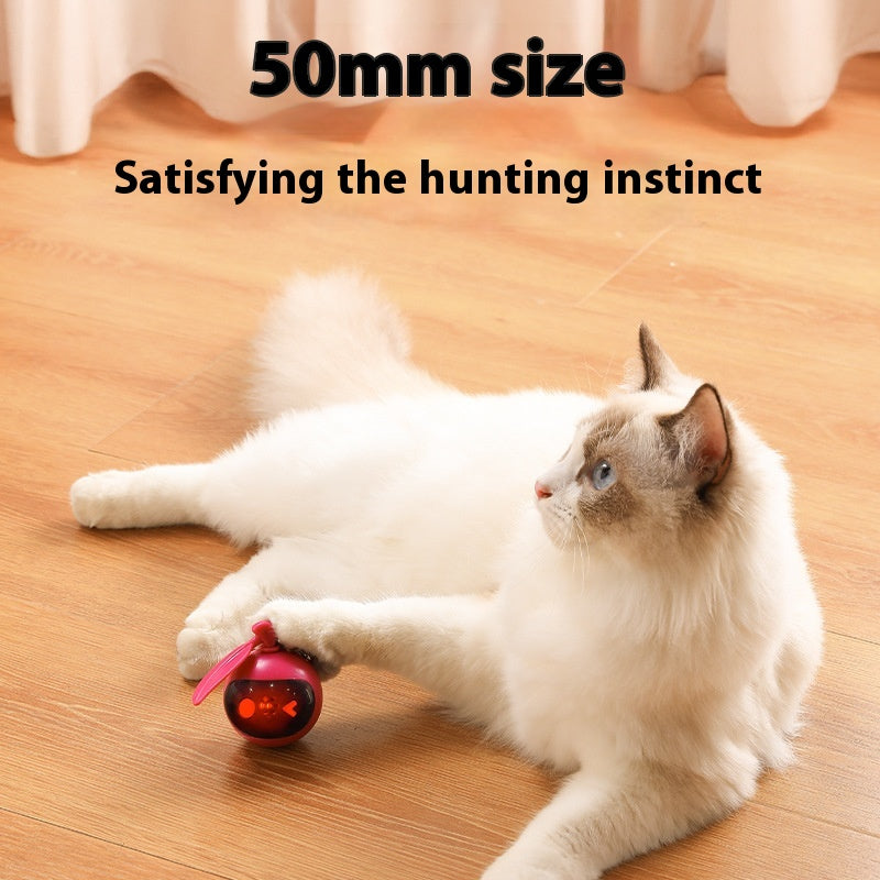 Jouet de chat animal élastique auto-Hi jouet de secours