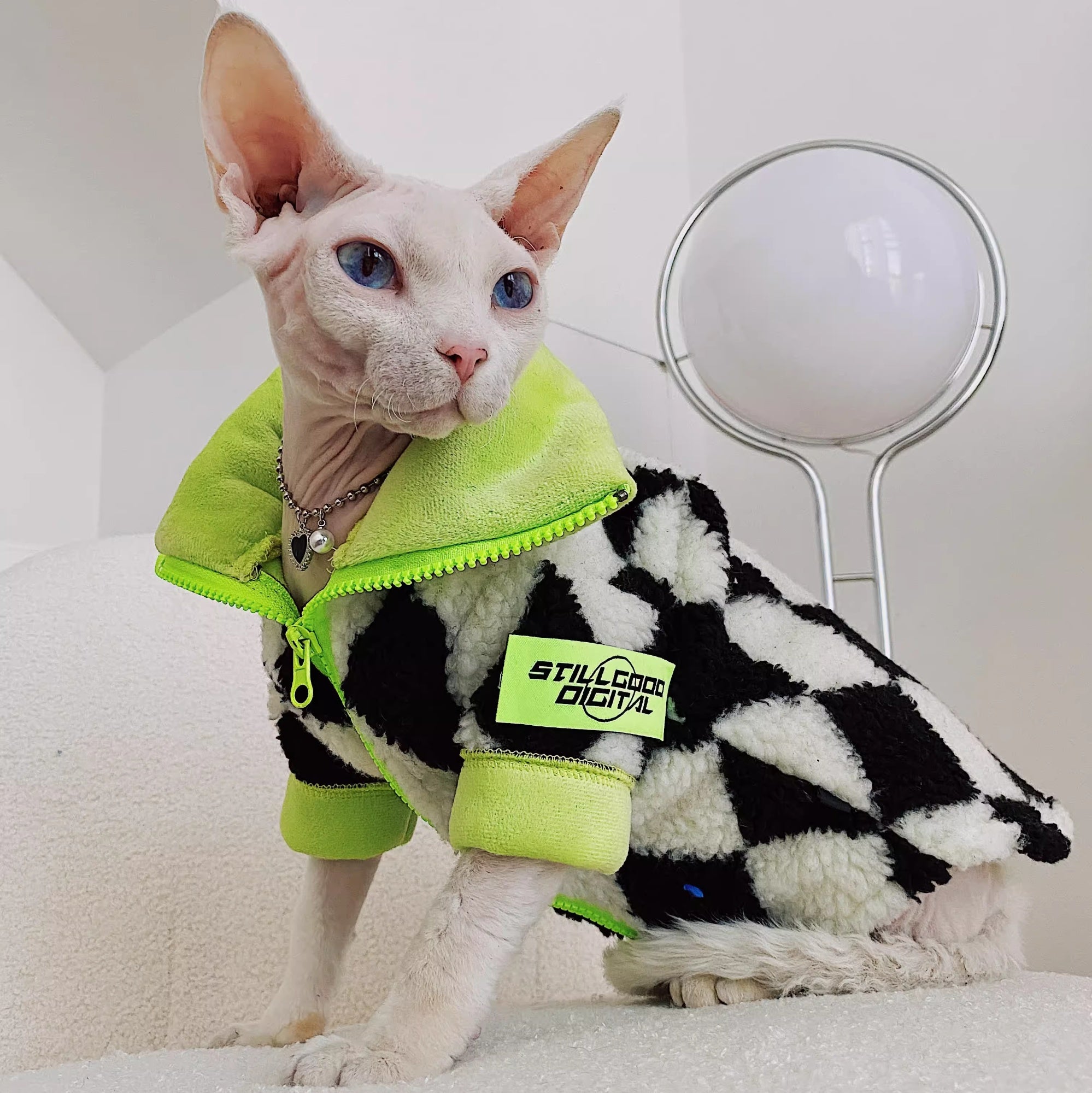 Chat sans cheveux Sphynx Devon hiver chaud agneaux lignés polaires wool Ultra-Tick Manteau