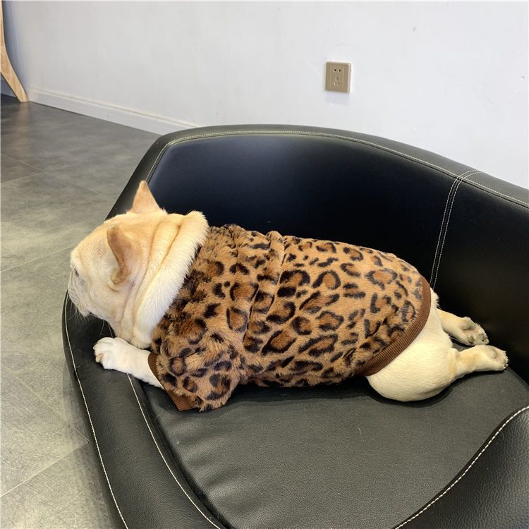Vêtements de chien polaire doublé chaud rembourré garder Corgi et Shiba Inu Jarre Aero Bull