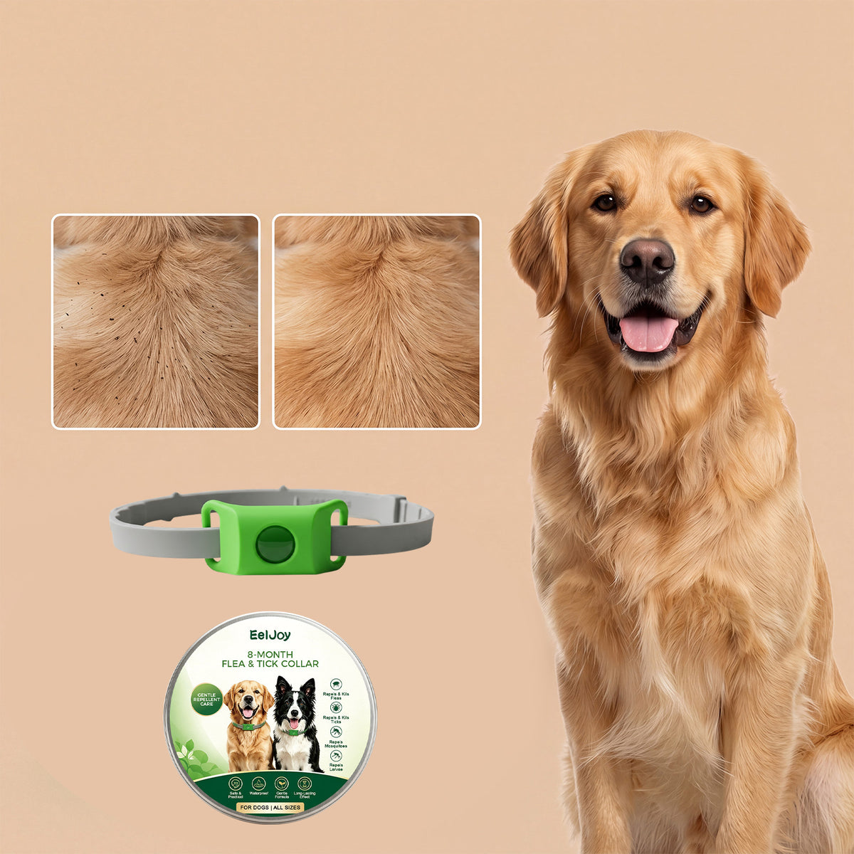 Eeljoy Flea et collier pour chiens