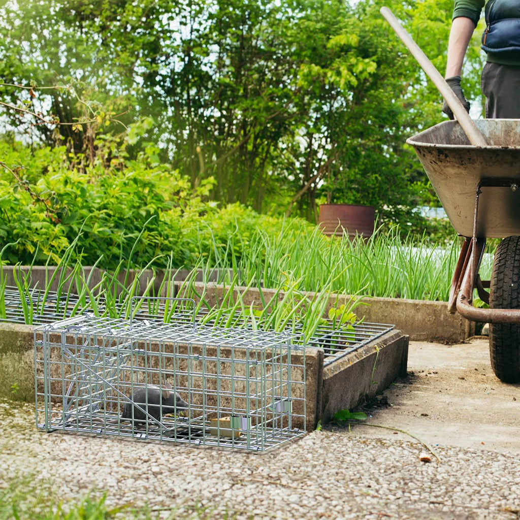 Cage de piège à rats réutilisable à haute sensibilité 2Pack – Déclencheur d'un lot rapide