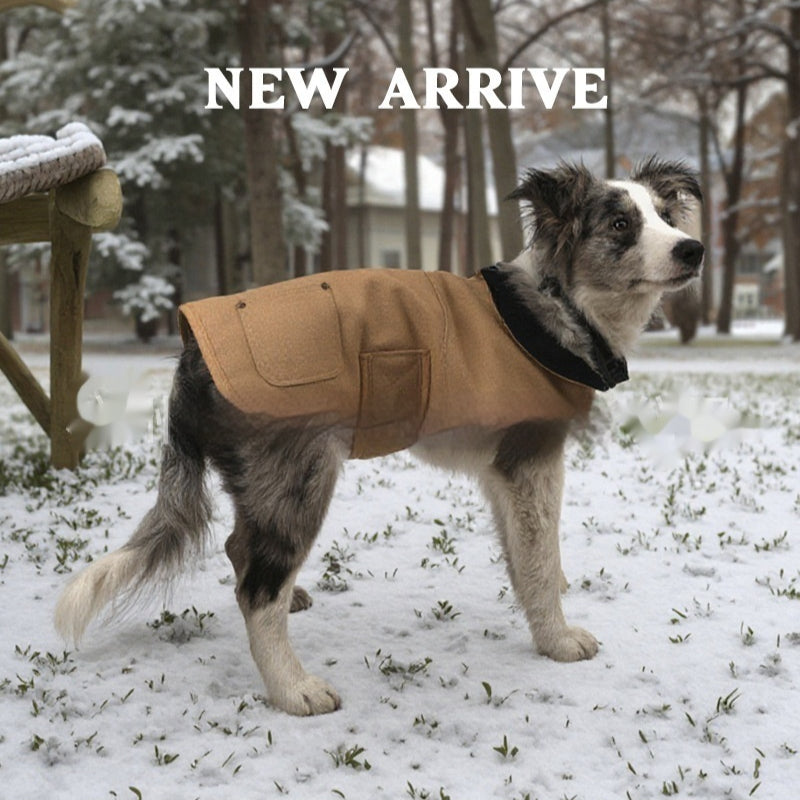 Le manteau de chien de même style est durable et résistant au froid