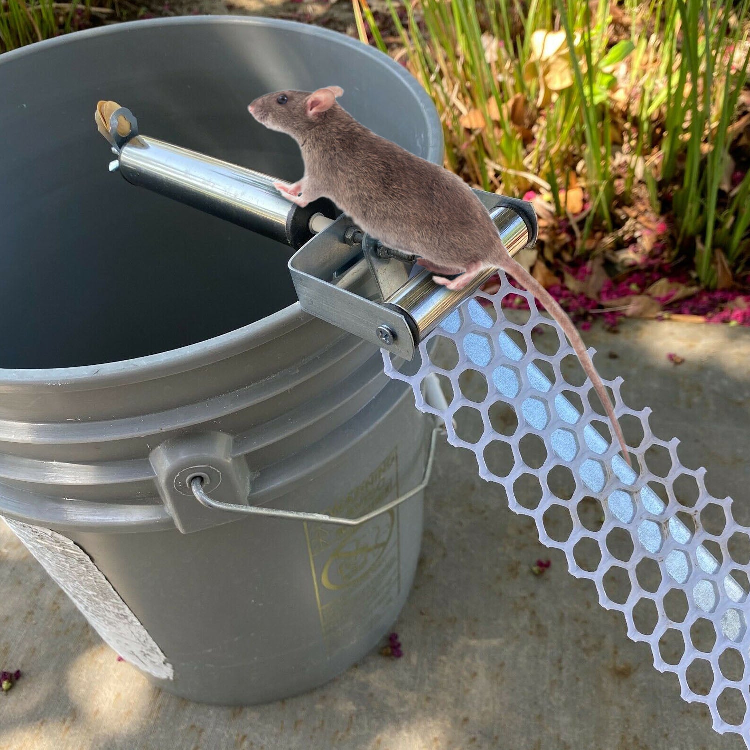 Piège à souris à roulettes avec 19,69 po