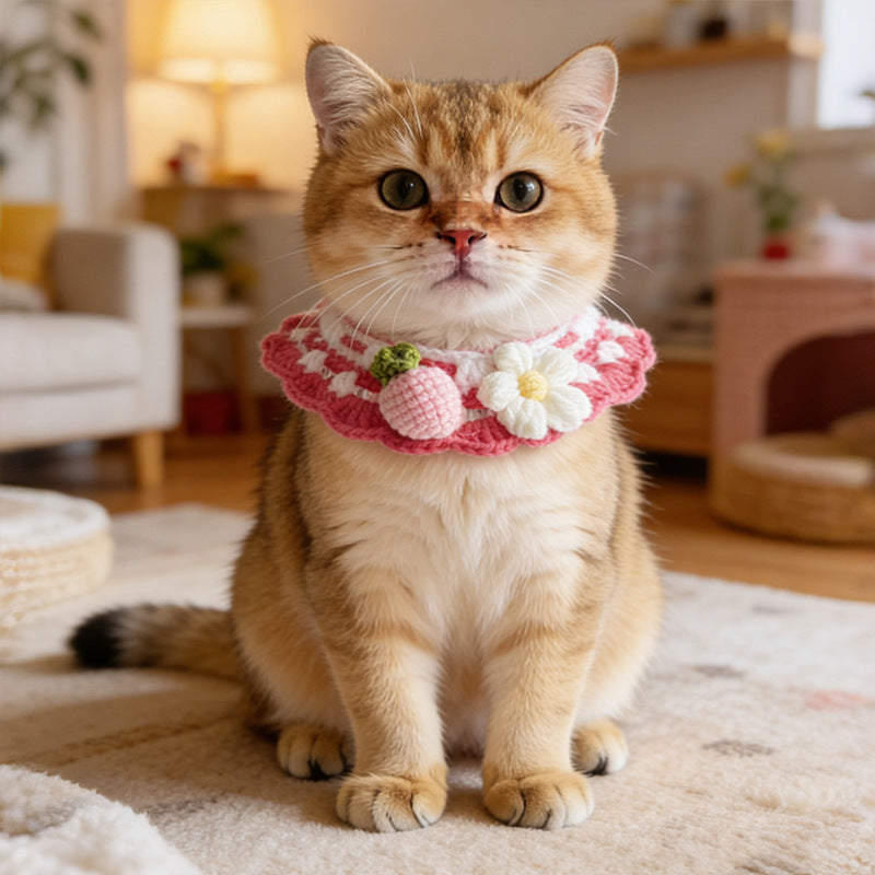 Collier d'écharpe de chat à mailles chaudes de cou de chien