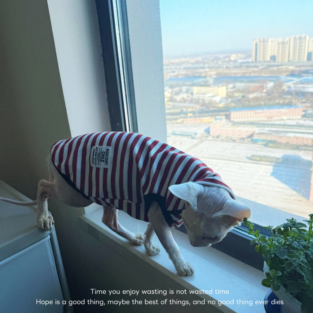 Sphynx Chemise sans manches de printemps de chat rouge et blanc rayé vêtements de mode pour les chats sans cheveux
