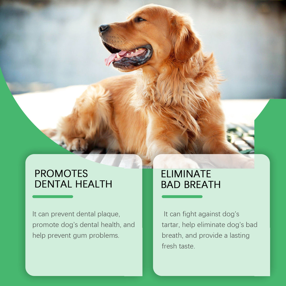 YEGBONG Pet Dental Water for Dogs