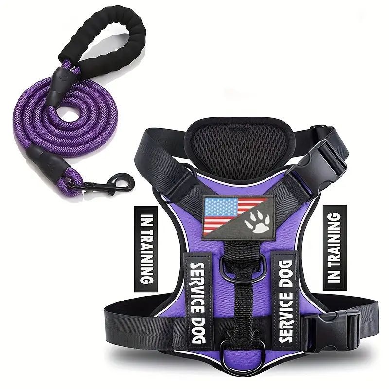 Chien d'animaux de compagnie Sangle mammaire Chien laisse Chien laisse