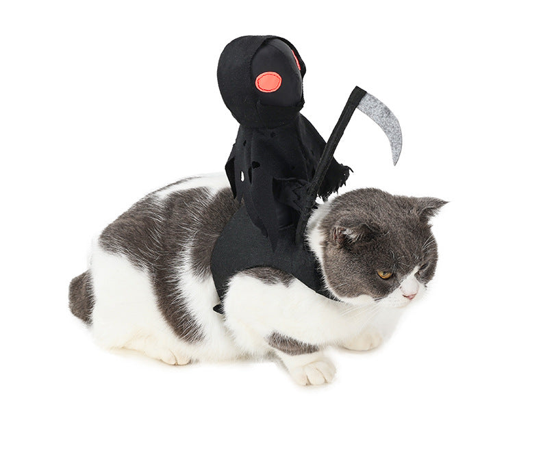 Chien Dark Harvest Costume de transformation chevalier Costume de chat Halloween Costume drôle Cat Cut