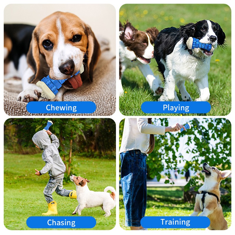 Jouet interactif pour chien pour chien agressif