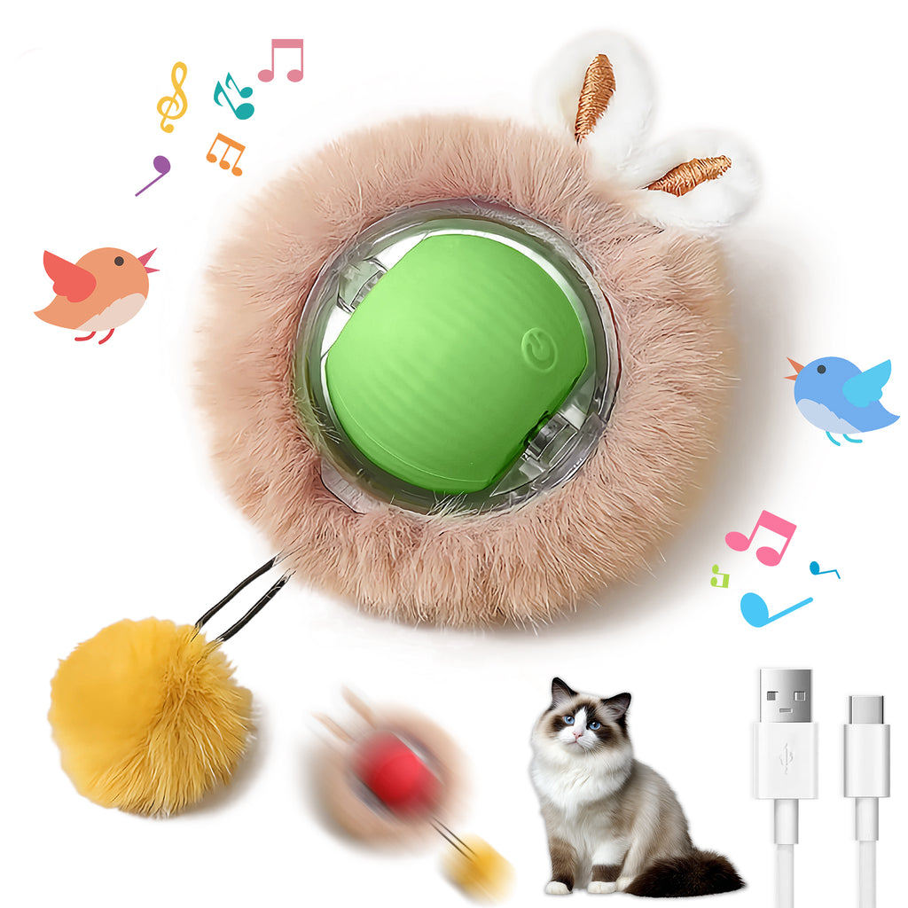 Jouets interactifs Balle pour chats