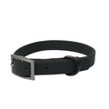 Collier de chien imperméable anti-strangulation Collier de chat